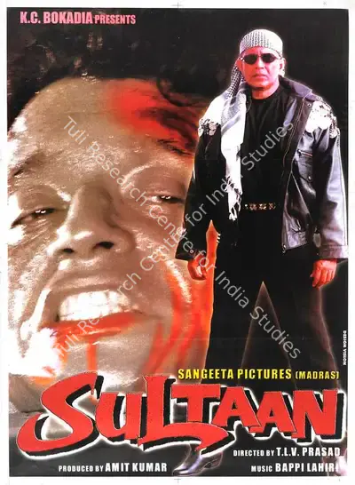 Amit Kumar (Producer), Sultaan, 2000, Full Sheet Poster