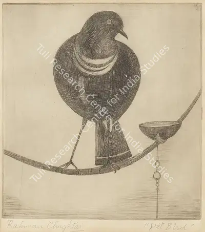 M.A.R. Chughtai (Artist), Pet Bird, Graphic Art