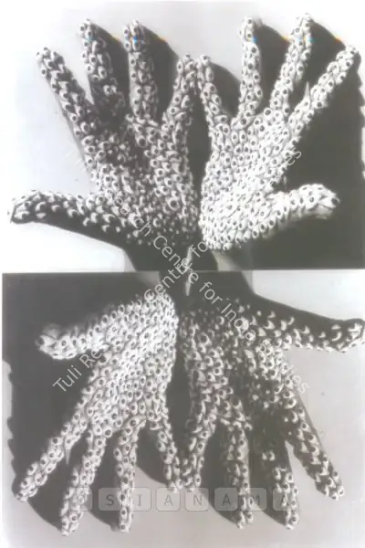 Anita Dube (Artist), Sea Creature, 2006, Print