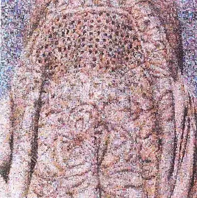 Rashid Rana (Artist), Veil-Iii, 2004, Print