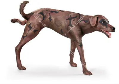 Jagannath Panda (Artist), Dog, Sculpture