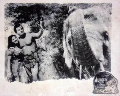 Vishwanath (Producer), Junglee Raja, 1963, Lobby Card