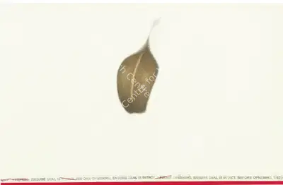 Muhammed Zeeshan (Artist), Untitled (Directions), 2007, Painting