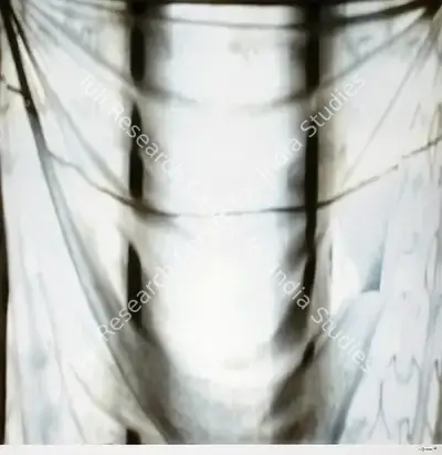 Binu Bhaskar (Artist), Absence Of White Lies, 2007, Print