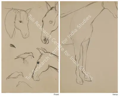 Amrita Sher-Gil (Artist), Study Of Horses (Double Sided), Drawing