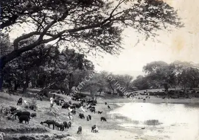 Madanrai Vakil (Director), Noor E Iman, 1933, Photographic Still