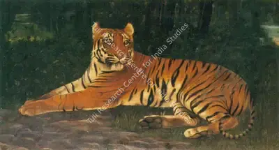 A.H. Muller (Artist), Tiger, Painting