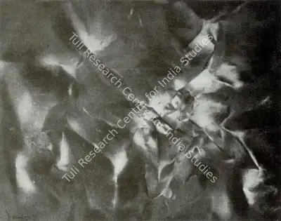 Kanwal Krishna (Artist), Homage to Light, Painting