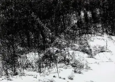 Paramjit Singh (Artist), Untitled, 2004, Drawing
