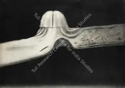 Rameshwar Broota (Artist), Metamorphosis - II, 1984, Painting