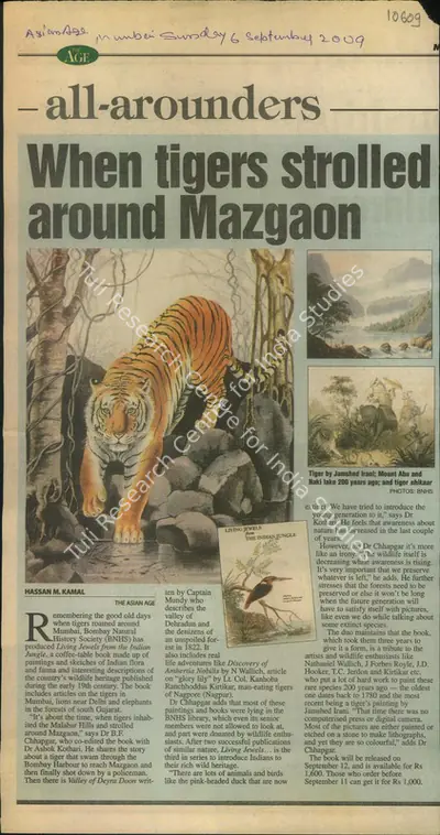 Hassan M. Kamal (Reporter), When Tigers Strolled Around Mazgaon, 2009, Newspaper Clipping