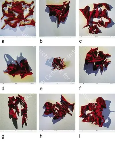 Anant Joshi (Artist), Aorta, 2006, Print