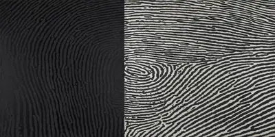 A. Balasubramaniam (Artist), Untitled, 2004, Painting