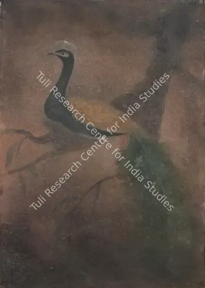 Abanindranath Tagore (Artist), Peacock, 1923, Painting