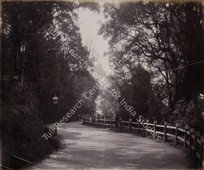 Unknown (Photographer), The Mall looking towards Woodlands. - Darjiling (Darjeeling), 1901, Antiquarian Photograph