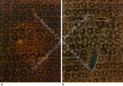 Manish Pushkale (Artist), Untitled, Painting