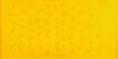 Akhilesh (Artist), Untitled, 2006, Painting