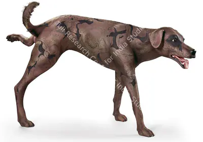 Jagannath Panda (Artist), Dog, Sculpture