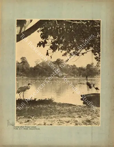 Aveek Sarkar (Editor), Sunday, 1974, Magazine