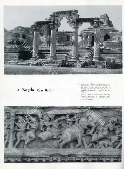 Brij Narayan (Essayist), Nagda, 1959, Essay