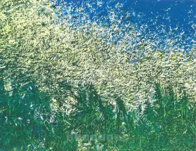 Paramjit Singh (Artist), Nature's Labyrinth, 2007, Solo Exhibition Invitation