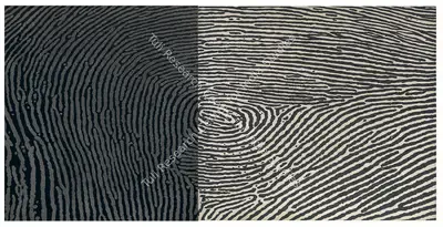 A. Balasubramaniam (Artist), Untitled, 2004, Painting