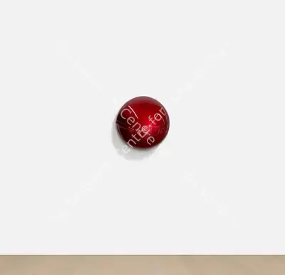 Anish Kapoor (Artist), Untitled, 2010, Installation
