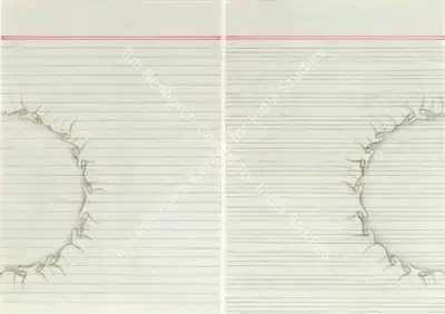 Aisha Khalid (Artist), Divided, 2006, Painting