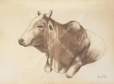 Manjit Bawa (Artist), Study Of Cow, 1988, Drawing