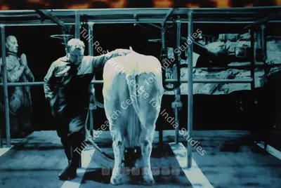 T.V. Santhosh (Artist), The Milking Machine, Painting