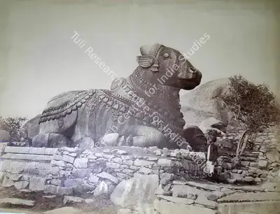 Studio Nicholas & Co. (Photographic Studio), Carved Bull Chamundee. Mysore, Antiquarian Photograph