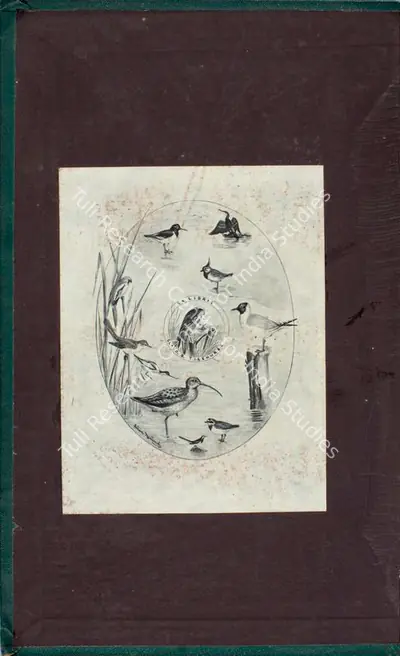 Allan Hume (Editor), Stray Feathers, 1878, Edited Antiquarian Book