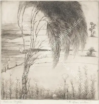 M.A.R. Chughtai (Artist), The Green Willow, Graphic Art