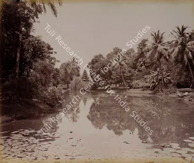 Samuel Bourne (Photographer), View in Eden Gardens. Calcutta, 1866, Antiquarian Photograph