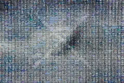Rashid Rana (Artist), Dead Bird Flying - 6, 2007, Print