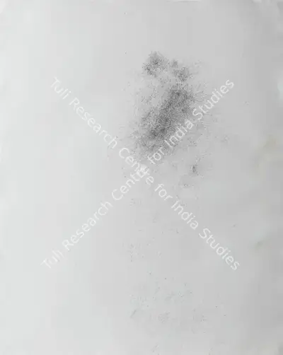 Neerja Kothari (Artist), Gathering Evidence on One’s Trace (5900), 2013, Painting
