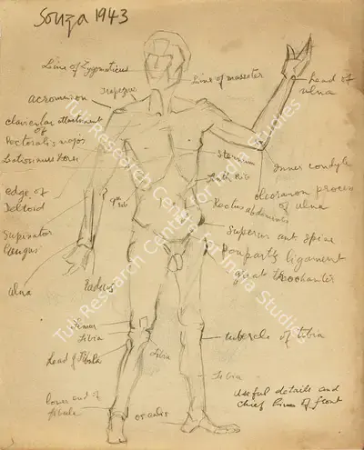 F.N. Souza (Artist), Human Anatomy Studies (Double-sided), 1943, Drawing