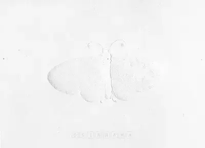 Ashim Purkayastha (Artist), Dilli Dilwalon Ki, 2005, Drawing