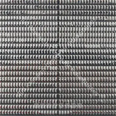 Rashid Rana (Artist), Identical Views II, 2004, Print