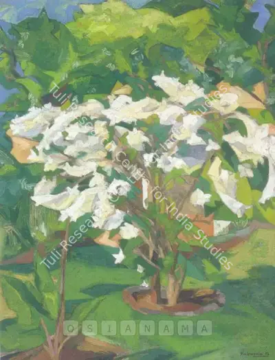Sabavala, Jehangir (Artist). White Bougainvillaea. Oil on board, 1956 | Painting | FineArts | 00600606