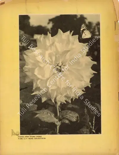 Aveek Sarkar (Editor), Sunday, 1974, Magazine