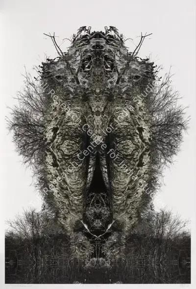 Ronak Sopariwala (Artist), A Poetic Chaos, 2021, Print