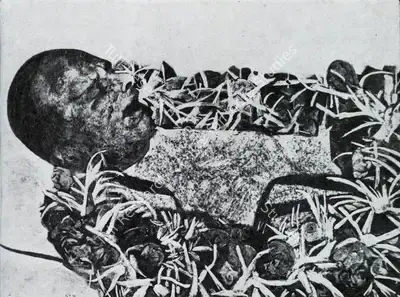 Gieve Patel (Artist), Dead Politician, 1969, Painting