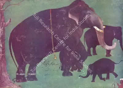 Alam Guman (Artist), Jehangir's Royal Elephant, 1650, Painting