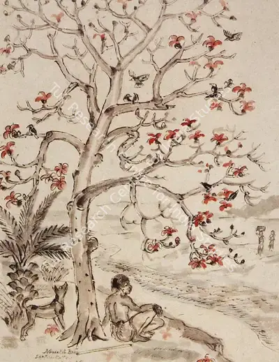 Nandalal Bose (Artist), Man Seated Under a Simul Tree, 1945, Painting