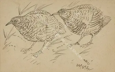 Nandalal Bose (Artist), Untitled (Birds), 1942, Drawing