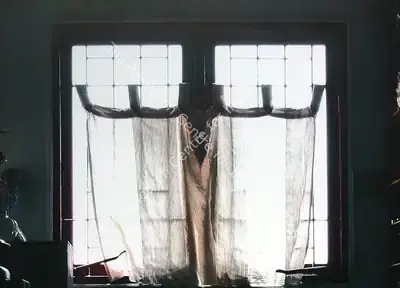 Surekha (Artist), Spaces Of Silence, Print
