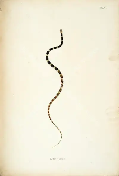 William Skelton (Engraver), Katla Vyrien, 1796, Engraving