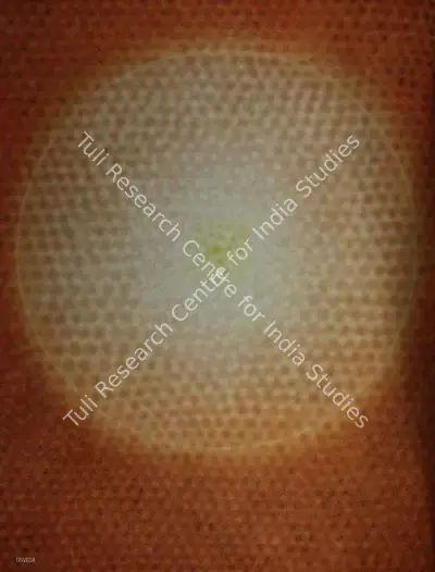 Shobha Broota (Artist), Origin 48, 1990, Painting