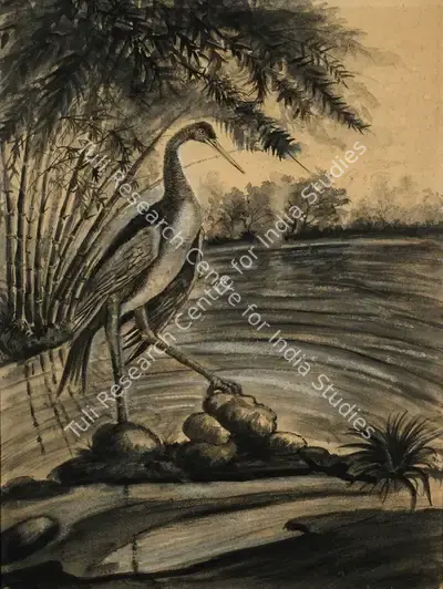 Roy Chowdhury, D.P. (Artist). Crane Series, mid 1940s | Painting, Os.Del/18.03.08, 2008 · Osian's